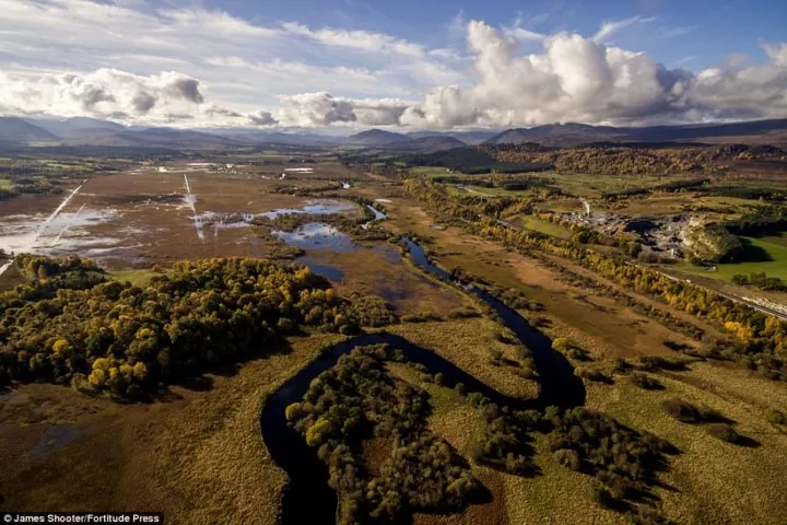 Cảnh mùa thu tuyệt đẹp ở Scotland nhìn từ trên cao - Ảnh 3.