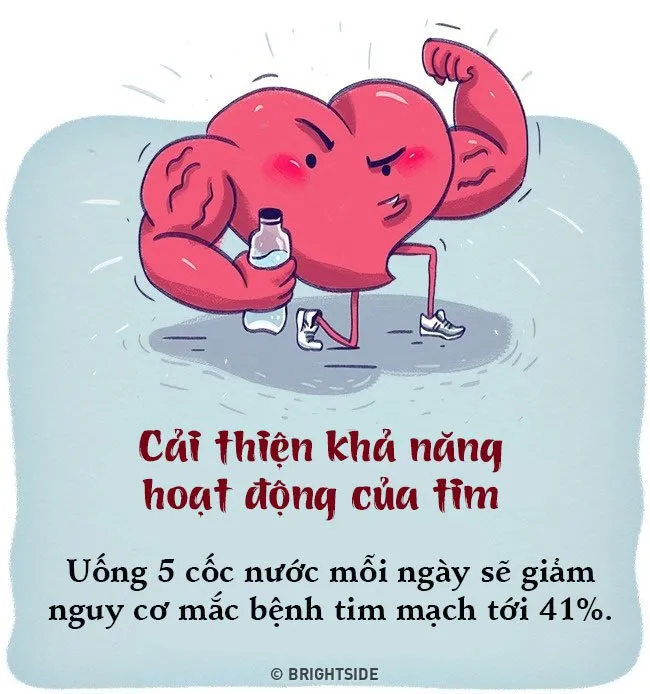 Điều gì xảy ra khi bạn chỉ uống nước lọc mỗi ngày? - Ảnh 5.