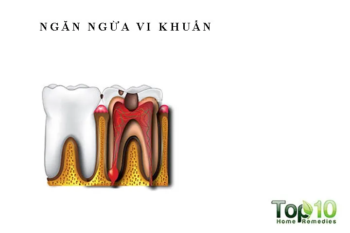 10 lợi ích sức khoẻ của rượu vang đỏ - Ảnh 4.