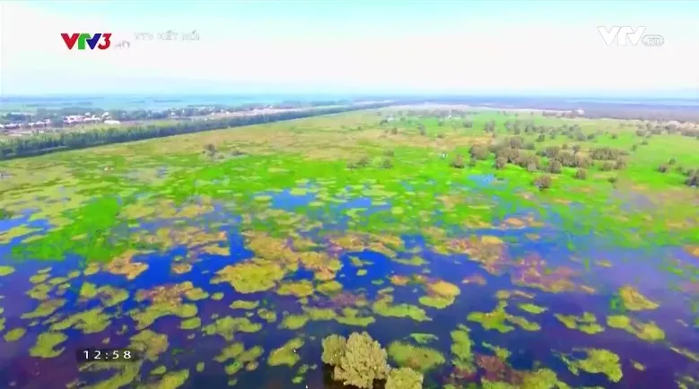 Bay bổng phương Nam: Khám phá cảnh sắc phương Nam tuyệt đẹp bằng góc máy flycam - Ảnh 3.