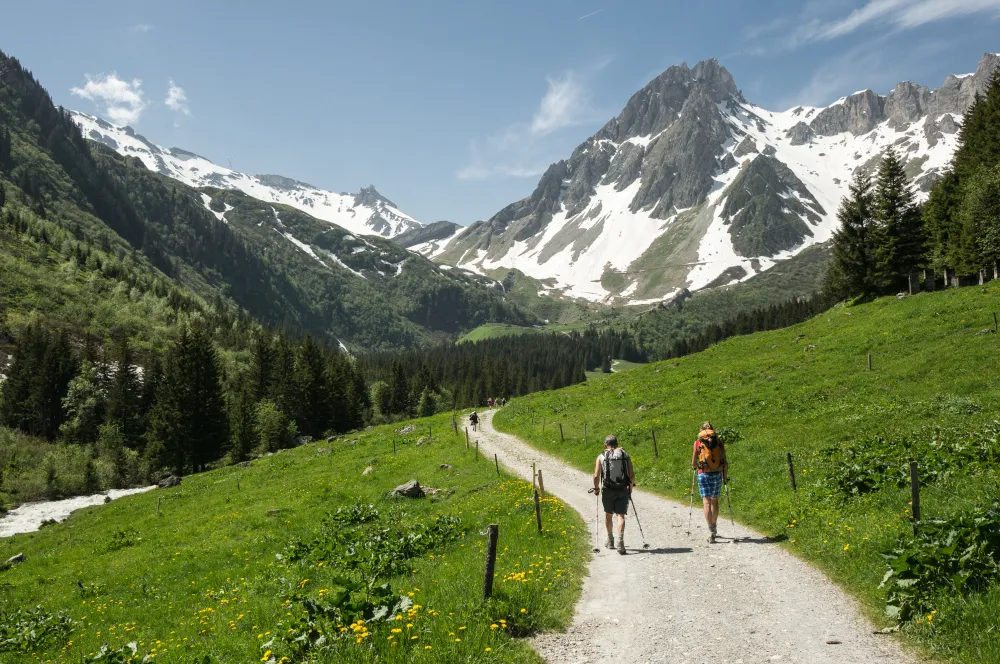 Mùa hè tuyệt đẹp trên dãy núi Alps - Ảnh 6.