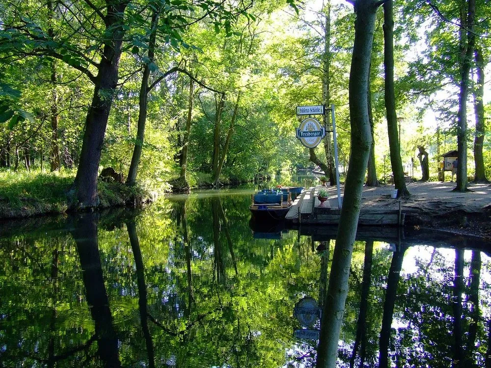 Lạc bước tới Spreewald - Venice của nước Đức - Ảnh 3.