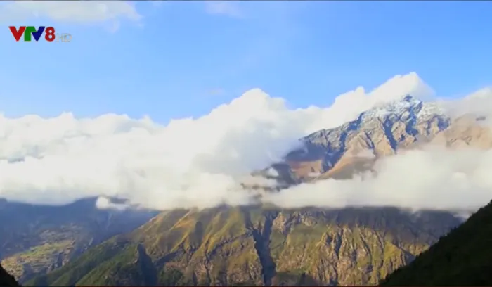Đông trùng hạ thảo Himalaya có nguy cơ biến mất - Ảnh 2. Đông trùng hạ thảo Himalaya có nguy cơ biến mất - Ảnh 2.