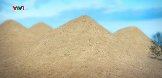 Ph&aacute;t hiện hơn 200 triệu g&ograve; mối tại Brazil - Ảnh 1.