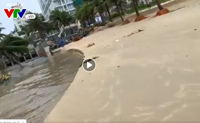 Mưa lớn kéo dài, bờ biển Đà Nẵng đang sạt lở nặng - Ảnh 4. Mưa lớn kéo dài, bờ biển Đà Nẵng đang sạt lở nặng - Ảnh 4.