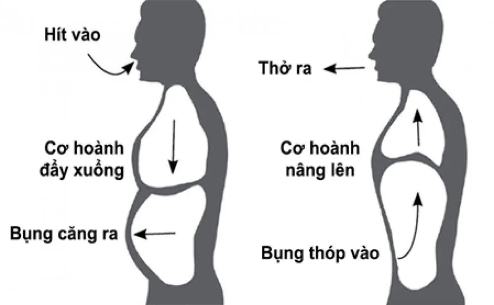 5 bài tập tại nhà người bệnh hen suyễn, COPD nào cũng phải biết - Ảnh 2. 5 bài tập tại nhà người bệnh hen suyễn, COPD nào cũng phải biết - Ảnh 2.