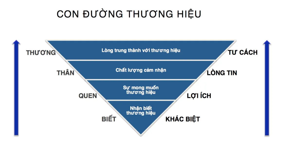 Thương hiệu VTV thời đại 4.0 - Ảnh 2. Thương hiệu VTV thời đại 4.0 - Ảnh 2.