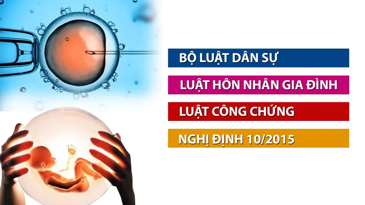 Gian nan hành trình xin có con cho người chết (Chuyển động 24h, 11h30, 18/12, VTV1) - Ảnh 2.