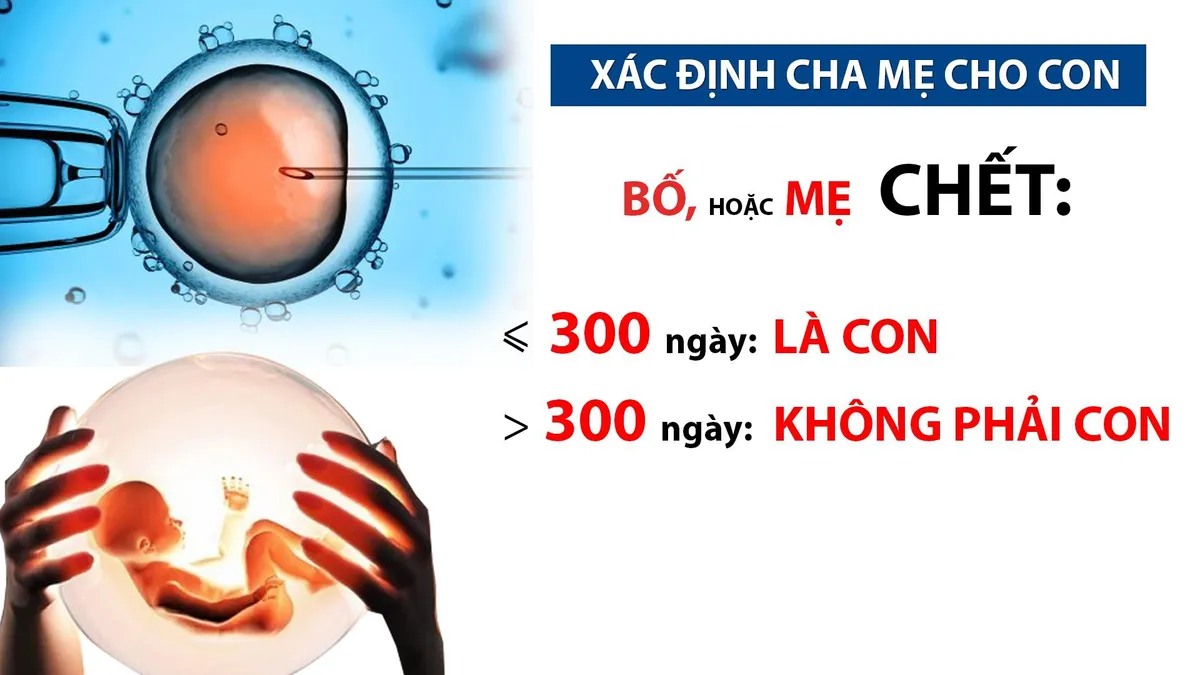 Gian nan hành trình xin có con cho người chết (Chuyển động 24h, 11h30, 18/12, VTV1) - Ảnh 3.