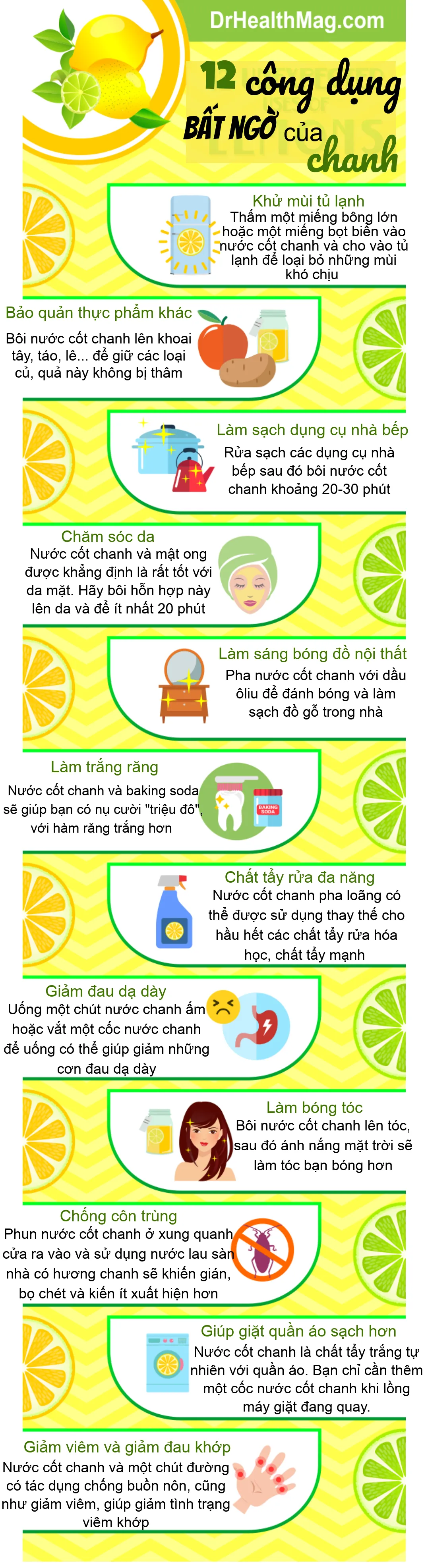 12 công dụng vô cùng hữu ích của chanh - Ảnh 1.