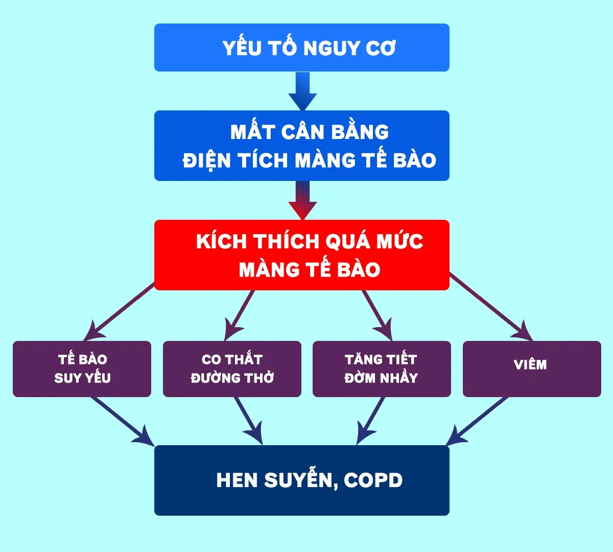 Việt Nam ứng dụng thành công sinh học phân tử trong điều trị hen suyễn, COPD - Ảnh 1. Việt Nam ứng dụng thành công sinh học phân tử trong điều trị hen suyễn, COPD - Ảnh 1.