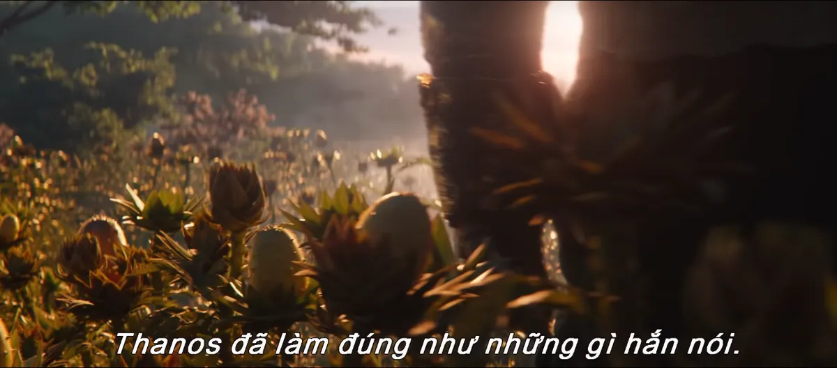 Avengers: End Game - Hiện thực tàn khốc còn lại sau cuộc chiến vô cực - Ảnh 4.