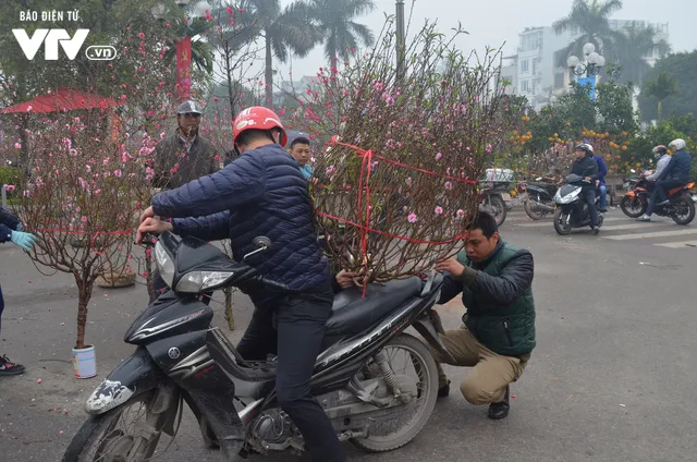 Người dân nô nức sắm đào, quất chơi Tết - Ảnh 5.