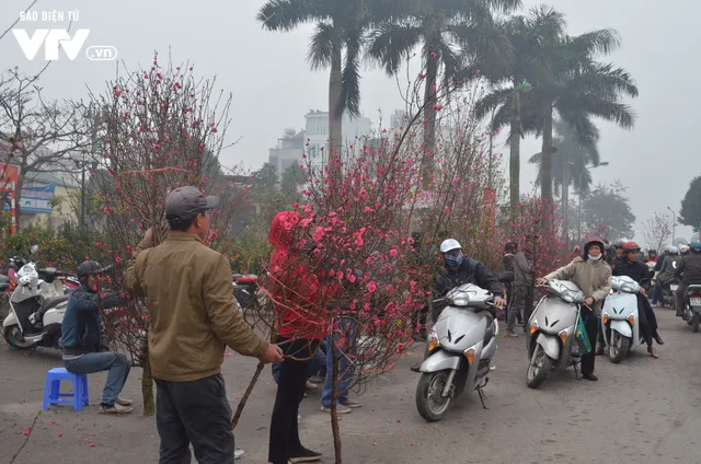 Người dân nô nức sắm đào, quất chơi Tết - Ảnh 7.