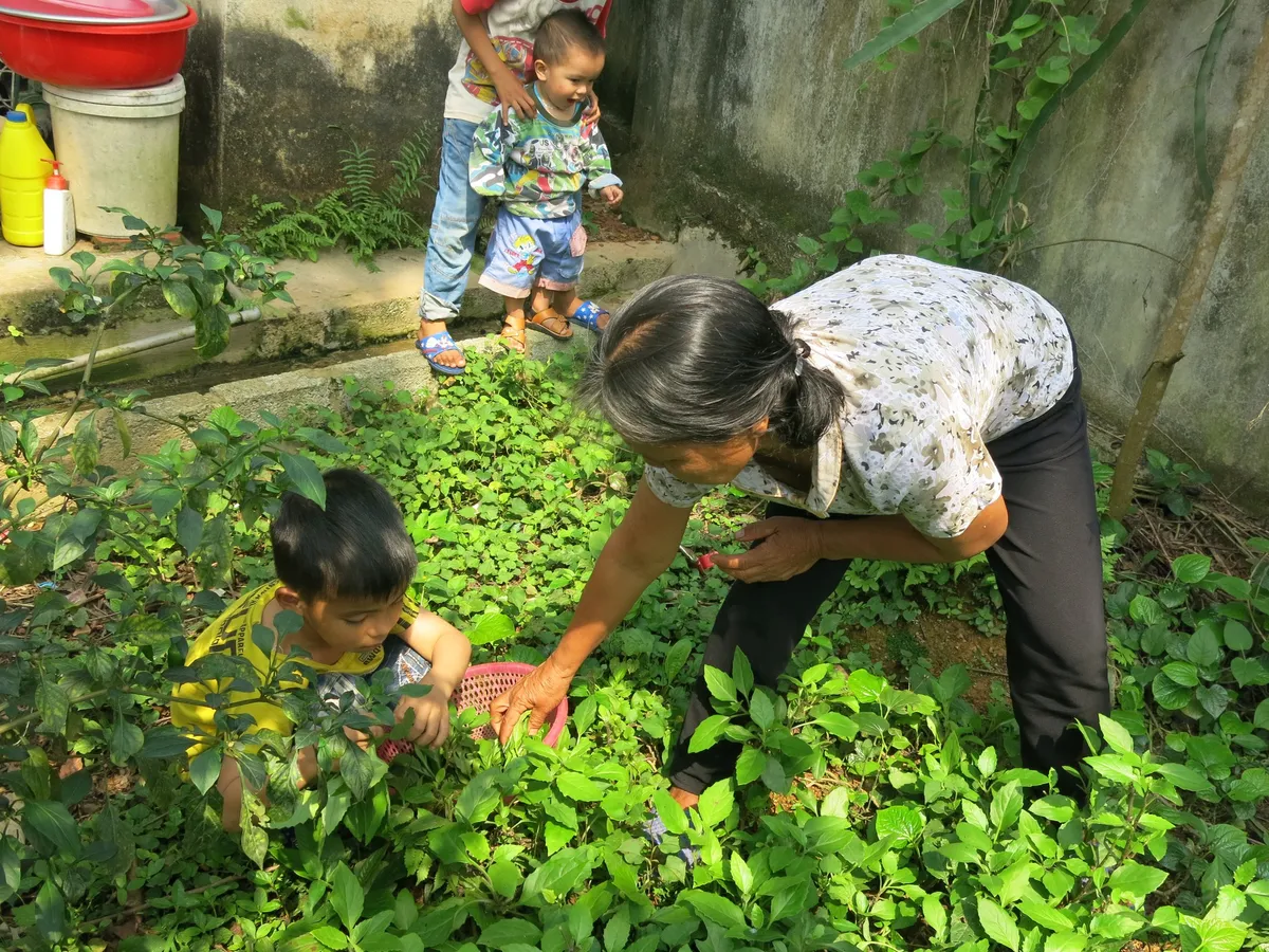 Tương lai mịt mờ của ba anh em trước cảnh bố bị ung thư giai đoạn cuối - Ảnh 3.