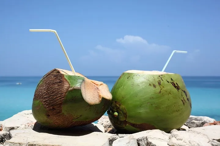 10 nhược điểm của nước dừa bạn nên biết - Ảnh 1.