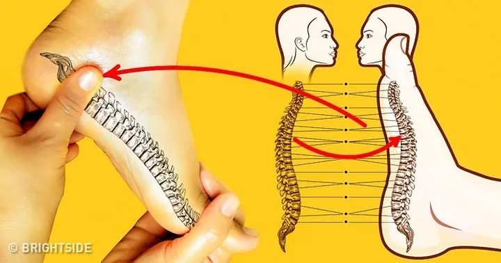 Massage chân có thể giúp điều trị các vấn đề sức khỏe thường gặp nhất - Ảnh 8.