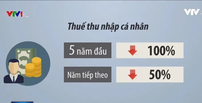 Ưu đãi thuế ở đặc khu kinh tế: Hấp dẫn nhưng chưa đủ - Ảnh 1.