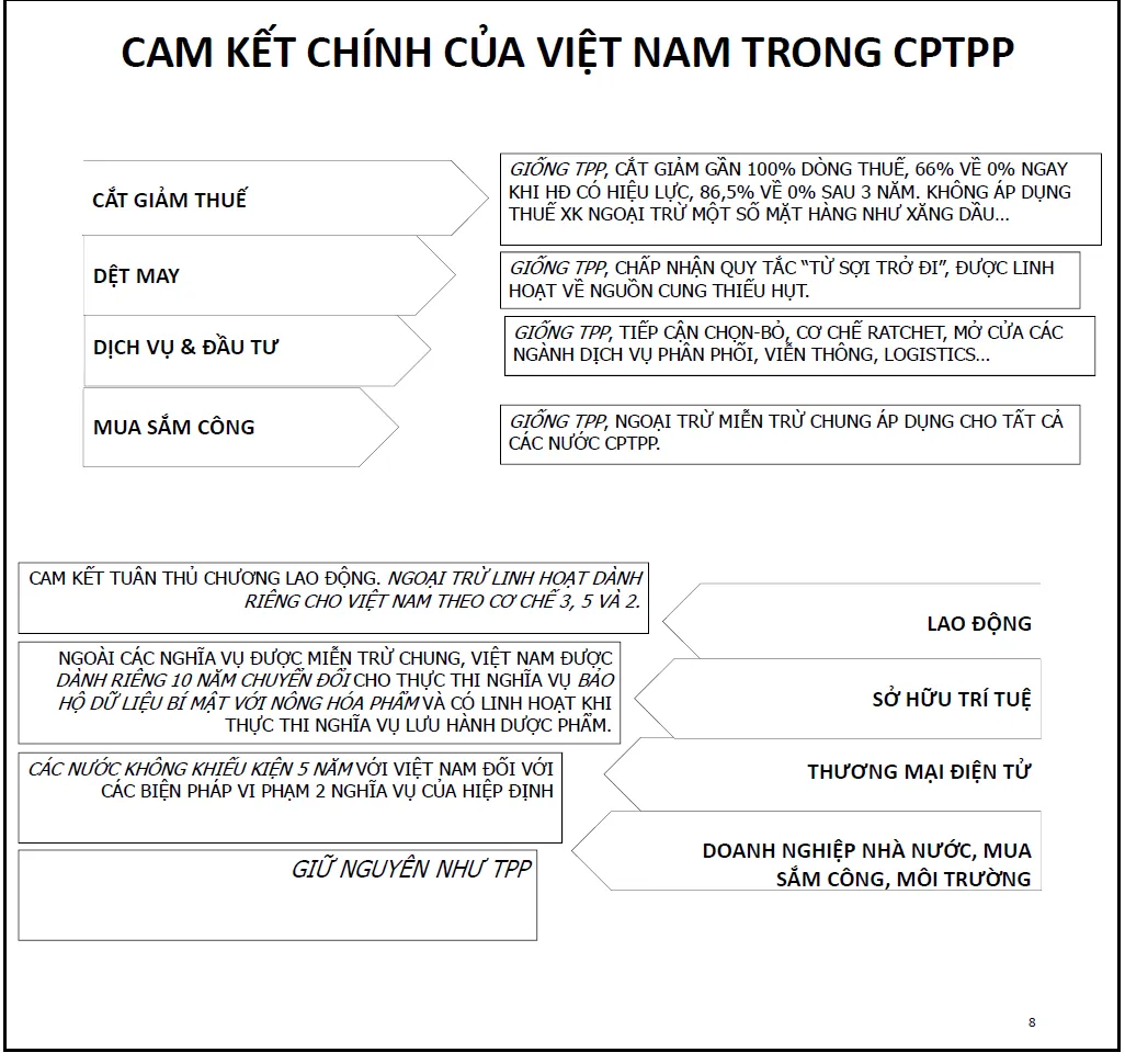 Cơ hội và thách thức từ CPTPP đã trở nên gần hơn bao giờ hết - Ảnh 4.