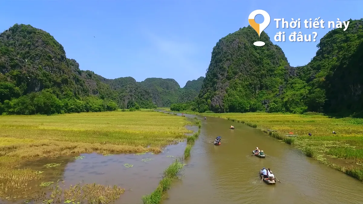 Thời tiết này đi đâu?: Ngắm mùa vàng trên dòng sông Ngô Đồng - Ảnh 1.