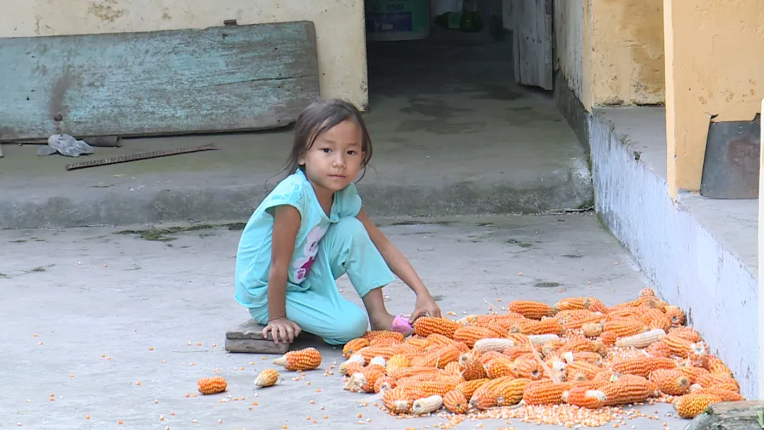 Khuôn mặt tím tái, ánh mắt tuyệt vọng của bệnh nhi tim bẩm sinh 5 tuổi - Ảnh 2.