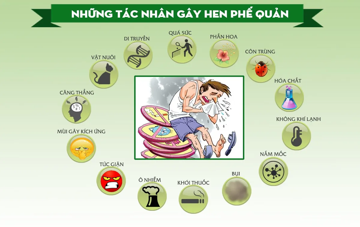 Hen suyễn, phổi tắc nghẽn mãn tính và những điều cần biết - Ảnh 1. Hen suyễn, phổi tắc nghẽn mãn tính và những điều cần biết - Ảnh 1.