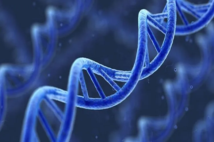 Nguy&ecirc;n nh&acirc;n g&acirc;y ung thư m&aacute;u cần biết - Ảnh 3.