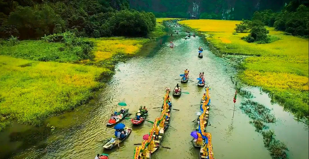 Nhanh chân đến Tam Cốc, Ninh Bình tháng 6 ngắm mùa lúa chín tuyệt đẹp - Ảnh 2.