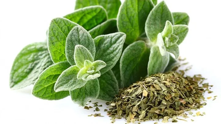 C&aacute;c loại gia vị tốt nhất cho sức khỏe của bạn - Ảnh 2.