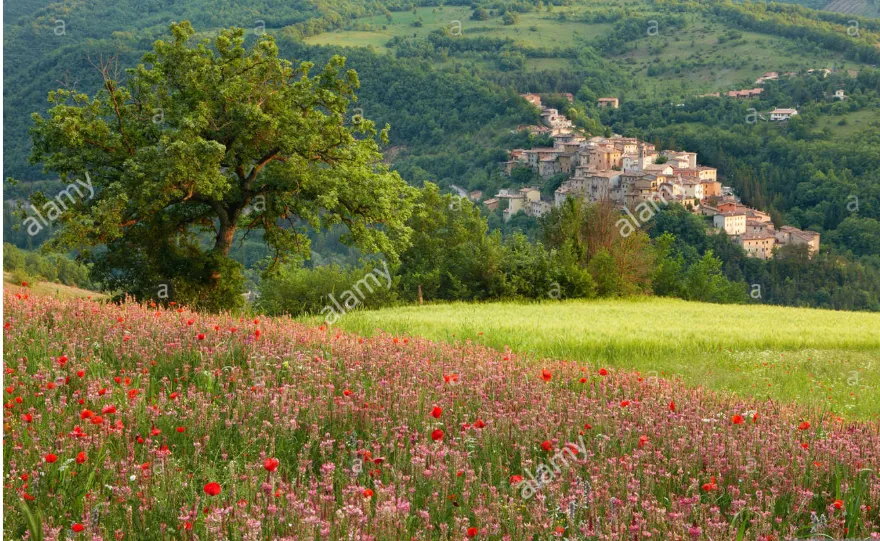 Quyến rũ thảm hoa khổng lồ tại Umbria, Italy - Ảnh 2. Quyến rũ thảm hoa khổng lồ tại Umbria, Italy - Ảnh 2.