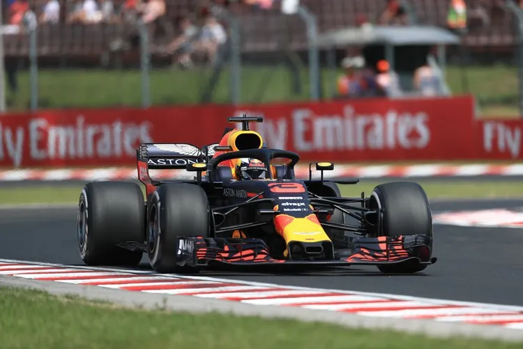 Daniel Ricciardo và Sebastian Vettel đạt thành tích tốt tại vòng đua thử GP Hungary - Ảnh 1.