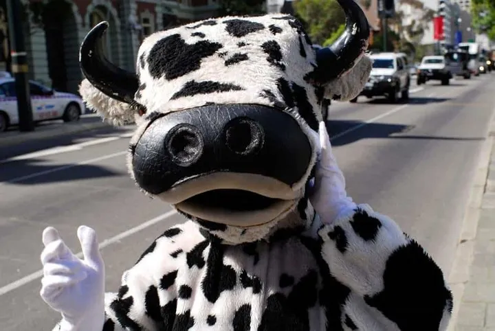 10 điều luật kỳ lạ chỉ c&oacute; ở Texas, Mỹ - Ảnh 1.