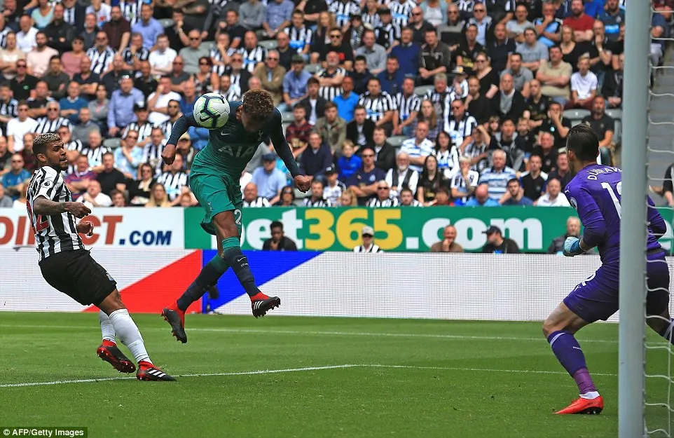 VIDEO Newcastle 1-2 Tottenham: Spurs khởi đầu thuận lợi dù Kane im tiếng - Ảnh 3. VIDEO Newcastle 1-2 Tottenham: Spurs khởi đầu thuận lợi dù Kane im tiếng - Ảnh 3.