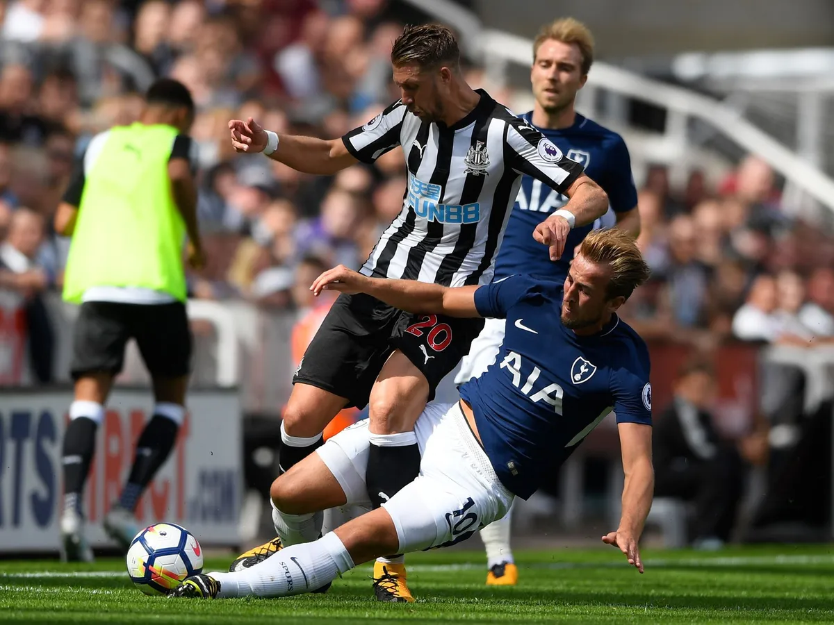 harry-kane