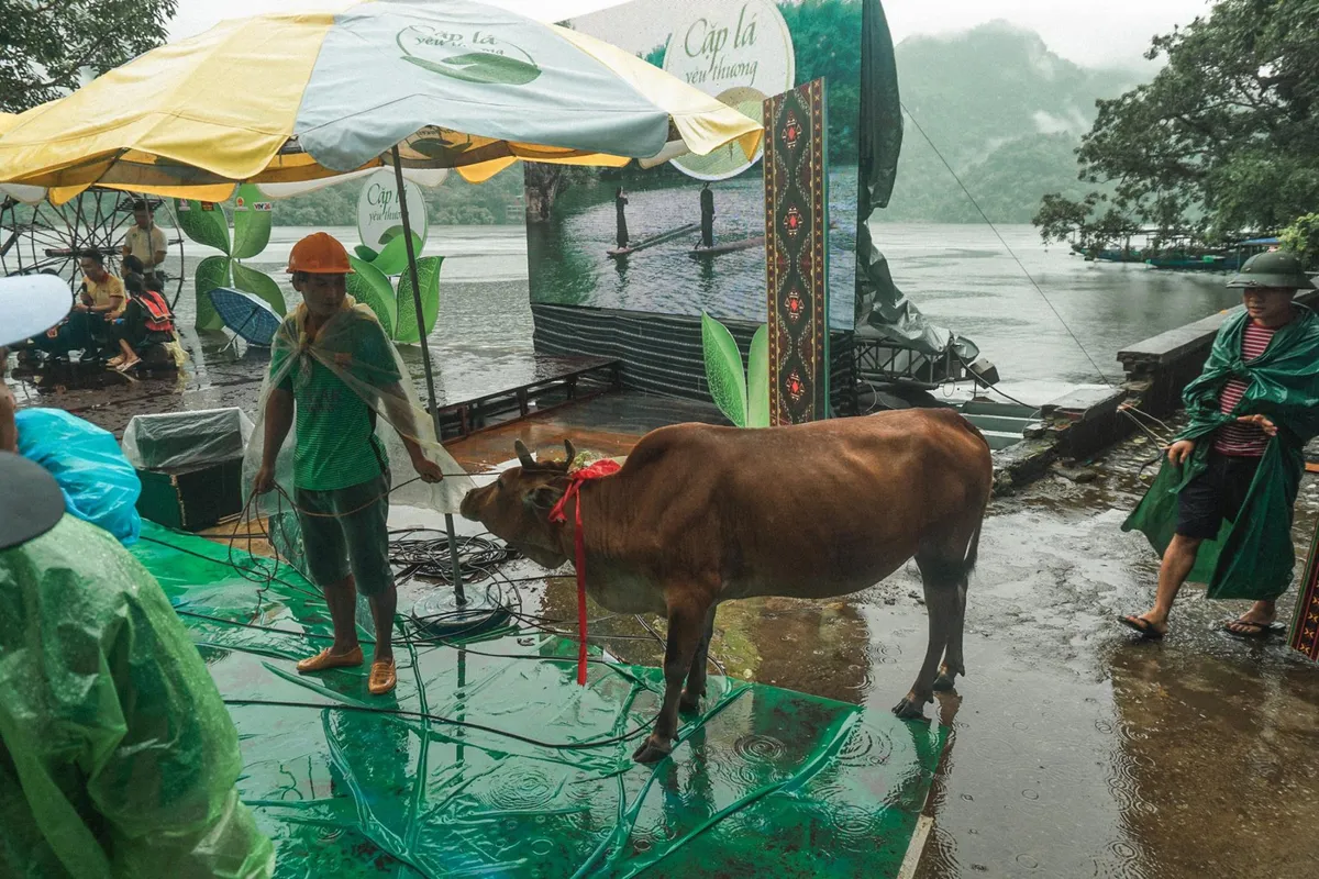 Hàng trăm người đội mưa đến với THTT Cặp lá yêu thương tại Bắc Kạn - Ảnh 9.