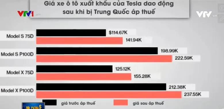 Thị trường Trung Quốc có ý nghĩa quan trọng với Tesla - Vì sao? - Ảnh 3.