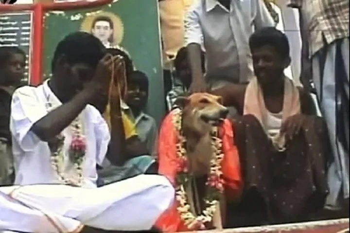 10 sự thật về Ấn Độ c&oacute; thể bạn chưa biết - Ảnh 2.