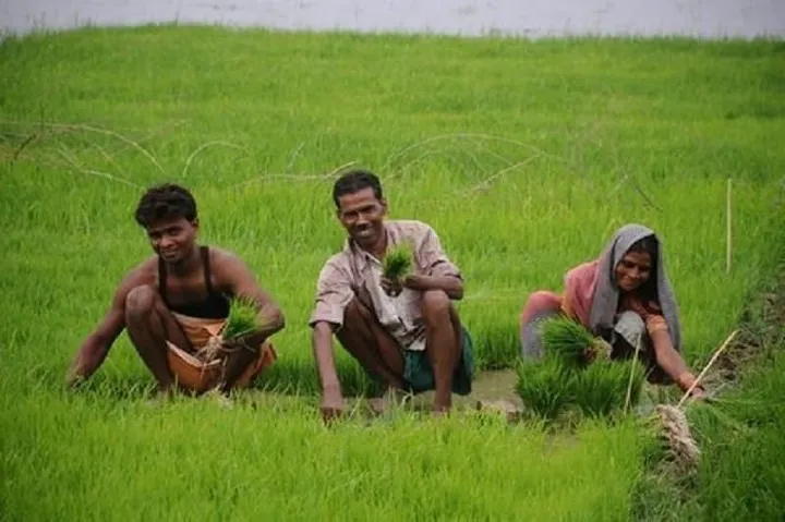 10 sự thật về Ấn Độ c&oacute; thể bạn chưa biết - Ảnh 5.