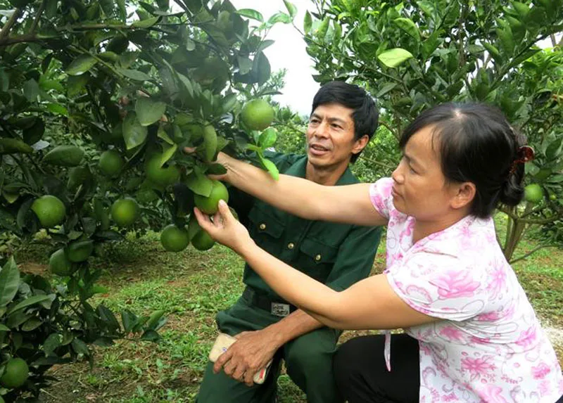 Kinh tế phi chính thức: Không chỉ gồm kinh tế ngầm - Ảnh 1.