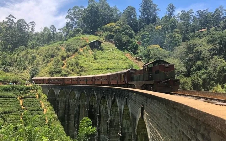 Những hình ảnh khiến bạn muốn tới Sri Lanka ngay trong năm 2019 - Ảnh 6.