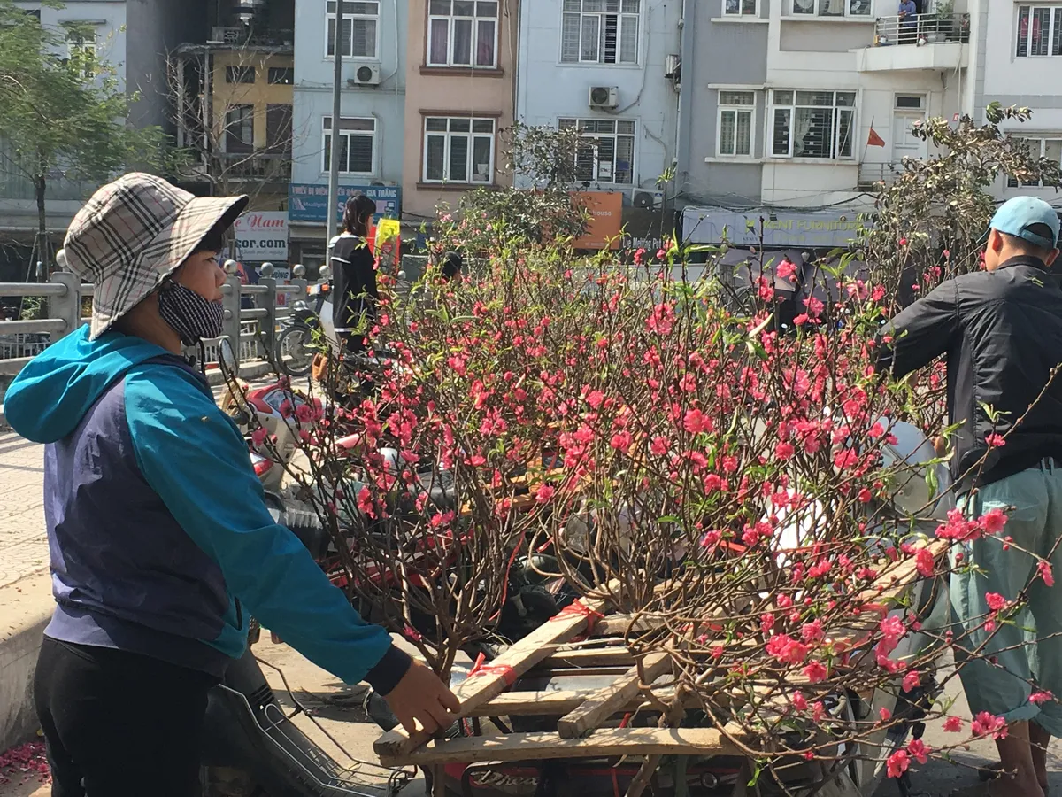 Ngày giáp Tết, mọi góc phố Hà Nội đều biến thành chợ hoa - Ảnh 8.