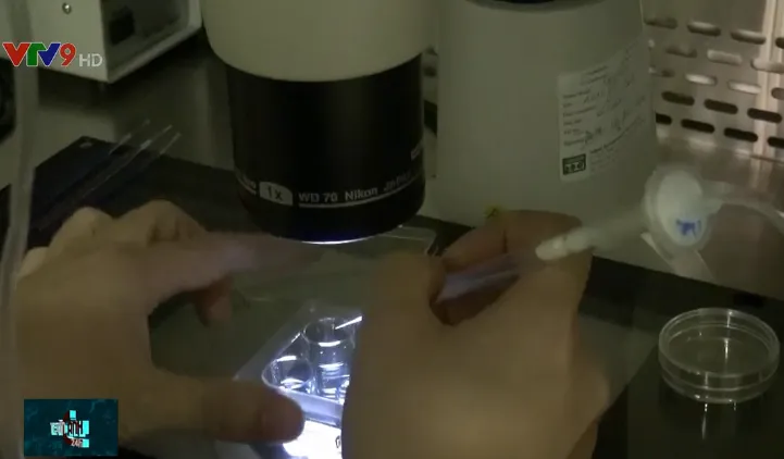 C&ocirc;ng nghệ mới gi&uacute;p cha mẹ nh&igrave;n thấy con khi c&ograve;n l&agrave; ph&ocirc;i thai - Ảnh 1.