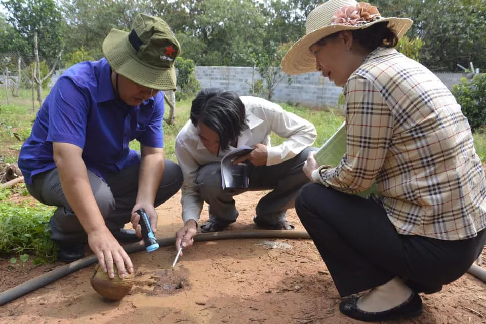 Bà Rịa - Vũng Tàu: Hơn 11.600 ca mắc sốt xuất huyết, 5 ca tử vong - Ảnh 1. Bà Rịa - Vũng Tàu: Hơn 11.600 ca mắc sốt xuất huyết, 5 ca tử vong - Ảnh 1.