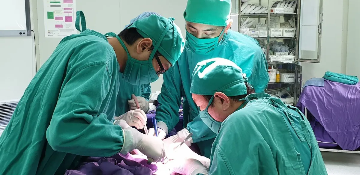 Bé 19 tháng bụng ngày một to lên vì khối u thượng thận - Ảnh 1. Bé 19 tháng bụng ngày một to lên vì khối u thượng thận - Ảnh 1.