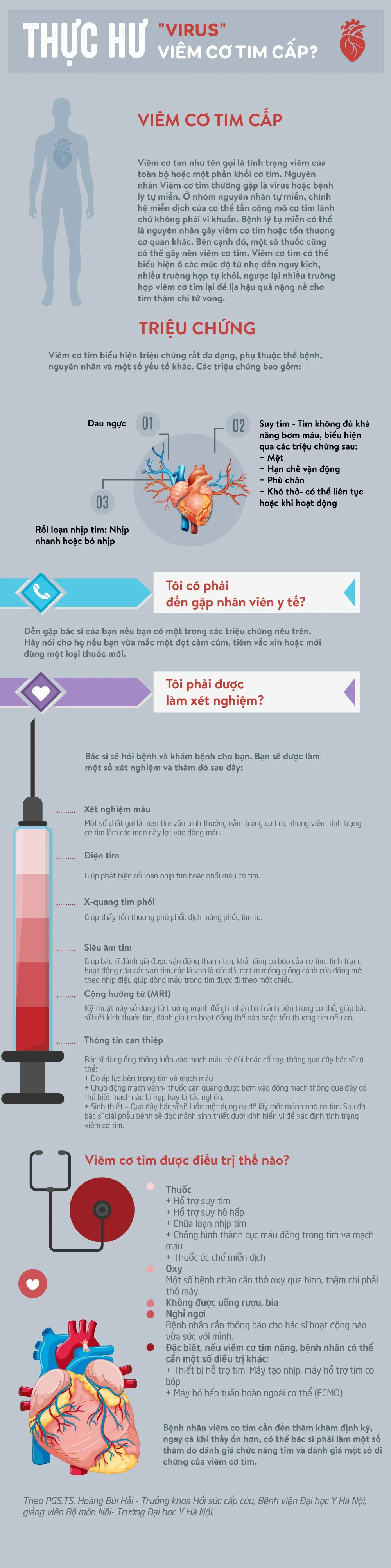 [Infographic] - Thực hư virus viêm cơ tim? - Ảnh 1.