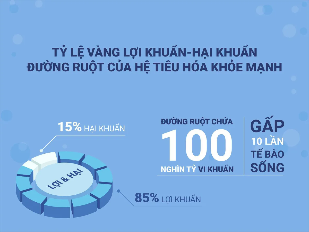 Bổ sung men vi sinh khi uống kháng sinh: Nên hay không? - Ảnh 1. Bổ sung men vi sinh khi uống kháng sinh: Nên hay không? - Ảnh 1.