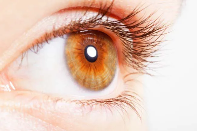 10 lợi &iacute;ch sức khỏe của salad rau tươi - Ảnh 10.