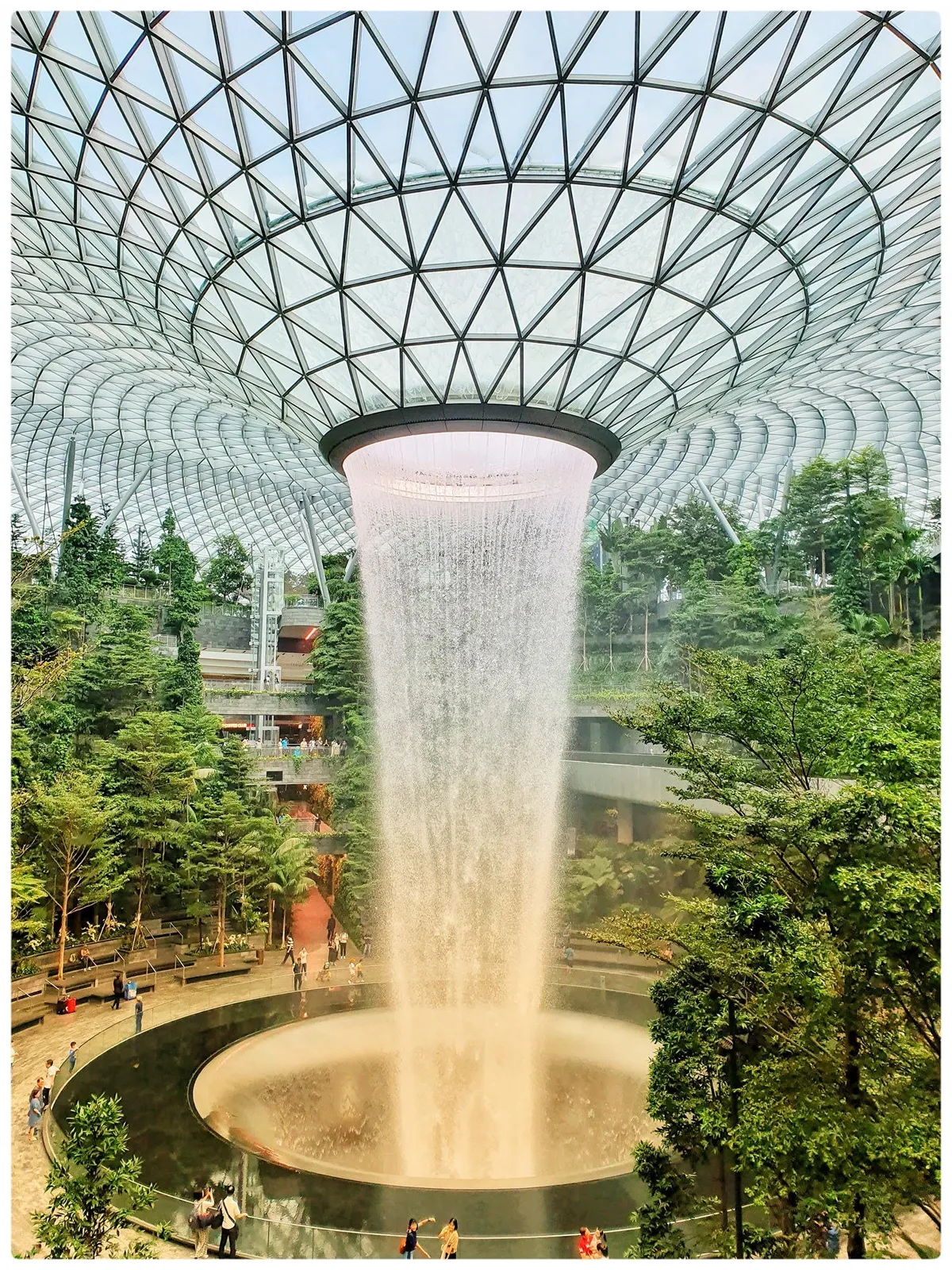 Singapore dùng công nghệ nhận diện khuôn mặt để làm thủ tục khách sạn - Ảnh 1. Singapore dùng công nghệ nhận diện khuôn mặt để làm thủ tục khách sạn - Ảnh 1.