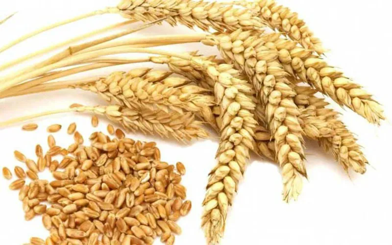 Thực phẩm giúp cho tim và não khỏe mạnh - Ảnh 4.