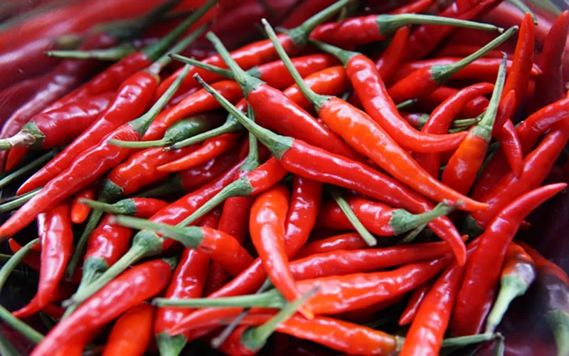 10 siêu thực phẩm giữ ấm cơ thể trong mùa Đông - Ảnh 8.
